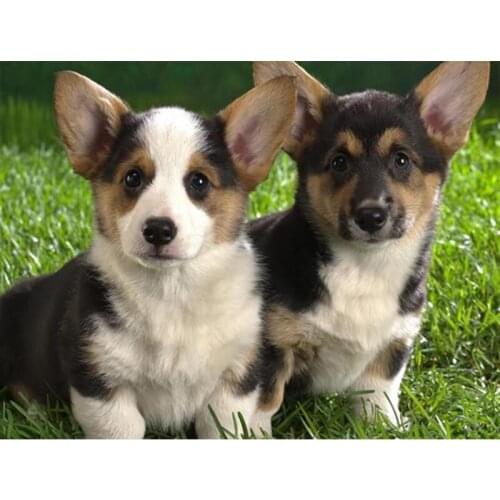 New 5D Diamond Painting Welsh Corgi puppies mosaic embroidery cross stitch diamond mazayka puzzle picture home decor art E1519