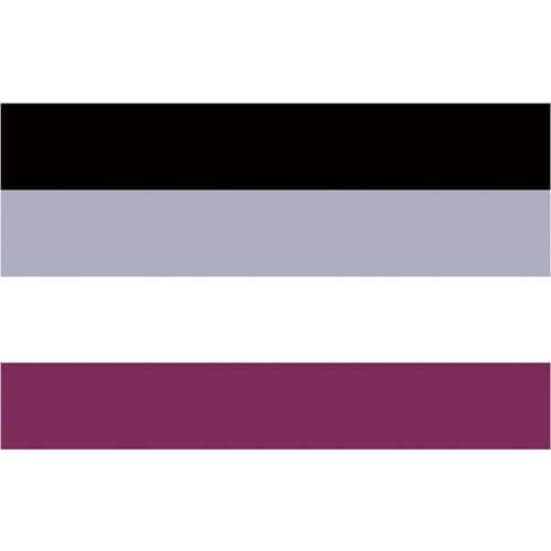 Free shipping Aerlxemrbrae flag 90*150cm LGBTQIA Ace Community nonsexuality Asexuality asexual pride Flag