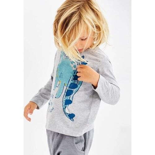 Elvesnest Cartoon T Shirt Children Dinosaur Graphic T Shirts Cotton Long Sleeve Boys T-Shirt Spring Autumn Boys Tops 1-6 Years