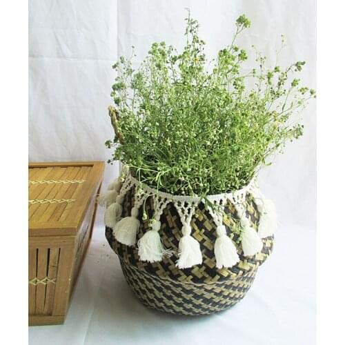 Multifunctional storage box, storage supplies, small flower pots at home, suitable for gifts, placed in the car Versatile