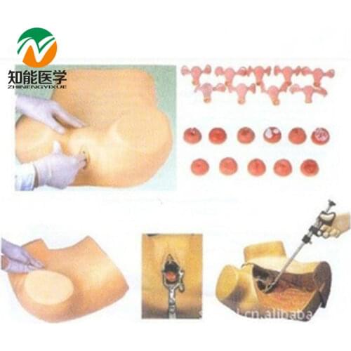 Chinon Advanced Gynecological Examination Model Medicine Student Medical Science Education Teaching Sources Equipment BIX-FS