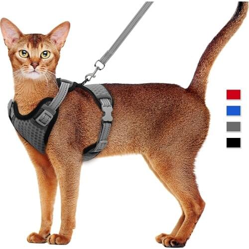 Cat Dog Adjustable Harness Vest Walking Lead Leash For Puppy Dogs Collar Polyester Mesh Harness For Small Medium Dog Cat Pet