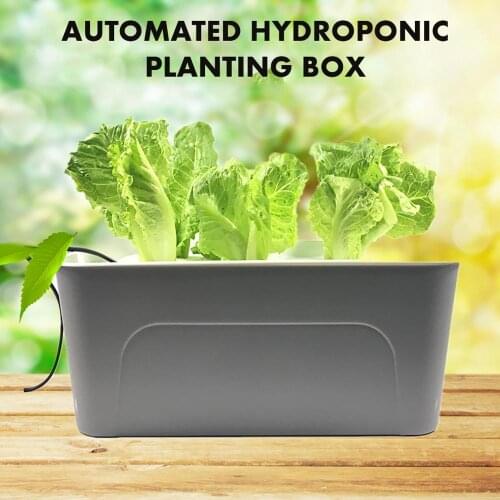 6 Holes Water Hydroponic Soilless Culture Grow Box Vegetable Planting Water Pum