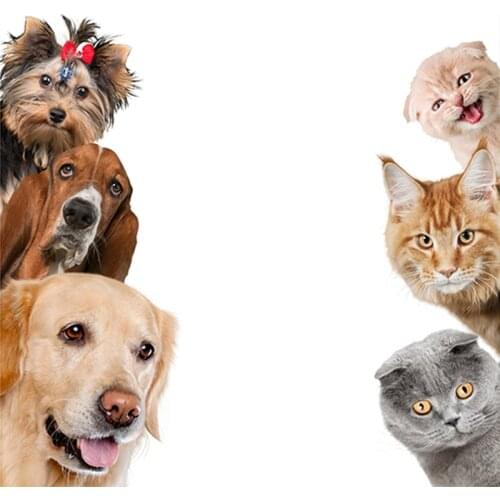 Home Refrigerator Decorations Animal Wall Sticker Cute 3D Dog and Cat Stickers Funny Vinyl Car Styling Car Decal PVC 45cm X 15cm