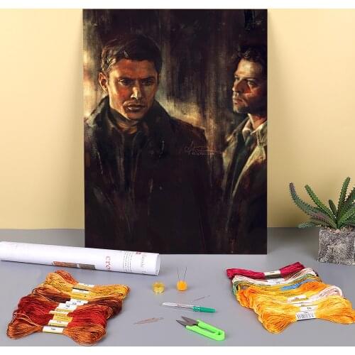 Doodles Printed Canvas 11CT Cross Stitch Embroidery Set DMC Threads Knitting Handmade Handicraft Painting Jewelry Room Design