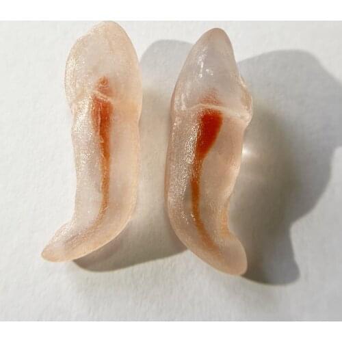 2Pis Canine Cuspid B Teeth Pulp Model Red Root Canal Dental Blocks Endo Files Practice Student 3D Simulation Tooth Replicas