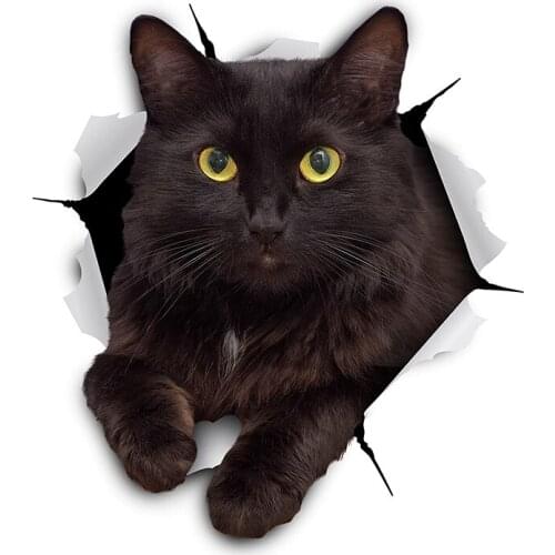 14cm*13cm Black Cat Torn Metal Car Sticker Waterproof Personalized Decal Laptop Truck Motorcycle Auto Accessories PVC 1 Pcs