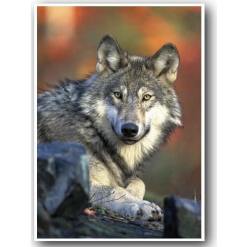 WOLF WOLVES Art Film Print Silk Poster Home Wall Decor 24x36inch