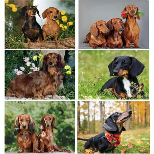 Full Square Round Professor Dachshund Diamond Painting Animal Dog Diamond Embroidery cute pets 5D drill Rhinestones Picture Z07