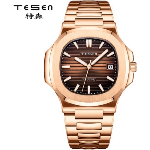 TESEN DESIGN Men Luxury Brand Automatic Watches Male Military Automatic Mechanical Watches steel luminous hand nautilus watch
