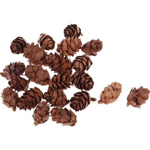 50 Pieces Vintage Real Natural Small Pine Cones Pinecone for Photo Props Decoration Christmas Wedding Party Ornament 20mm