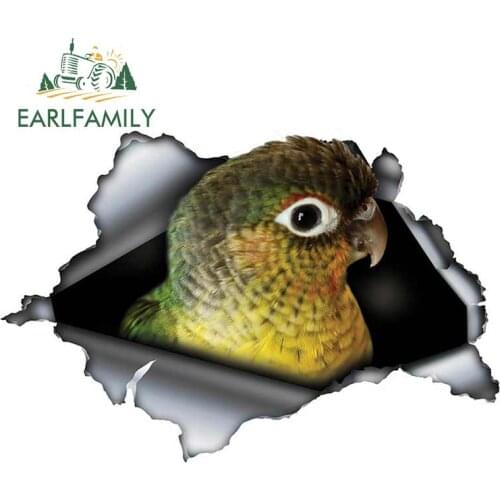 EARLFAMILY 13cm x 8.8cm Yellow Sided Green Cheek Conure Car Sticker Torn Metal Decal JDM Car Bumper Decor Motorcycle Graphic