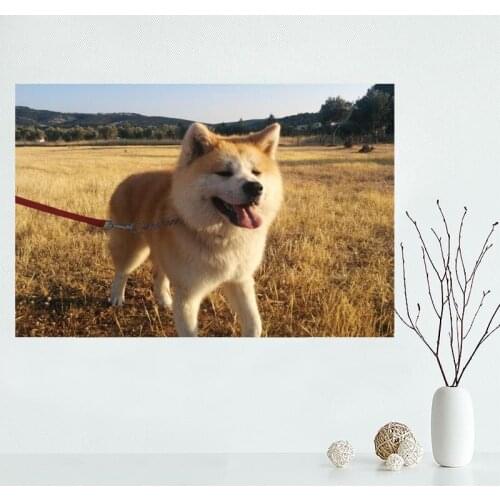 Custom Akita Dog Canvas Poster Bedroom Home Decoration Wall Poster Art Print Silk Fabric Gift For Friend 50x75CM,60x90CM