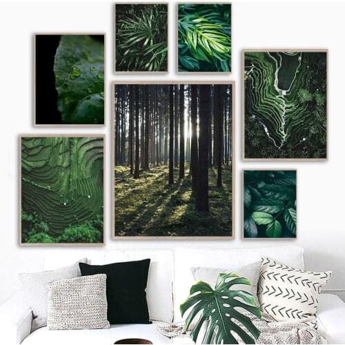 Palm Bamboo Terraces Laurel Monstera Leaf Wall Art Canvas Painting Nordic Posters And Prints Wall Pictures For Living Room Decor