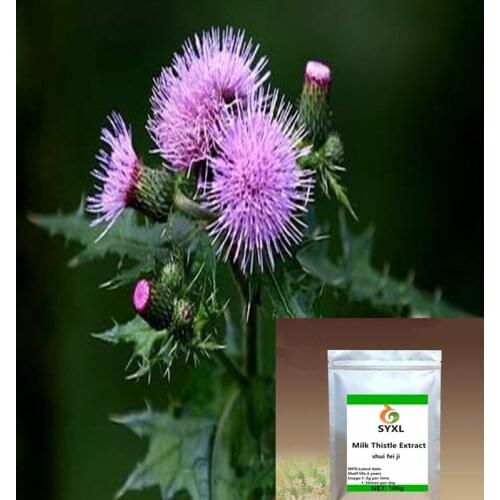 Milk Thistle Extract Silymarin Extract Powder