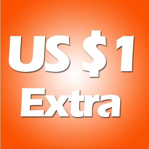 Pls Note If 10usd ,So Pls input 10pcs Quantities To Pay For 10USD