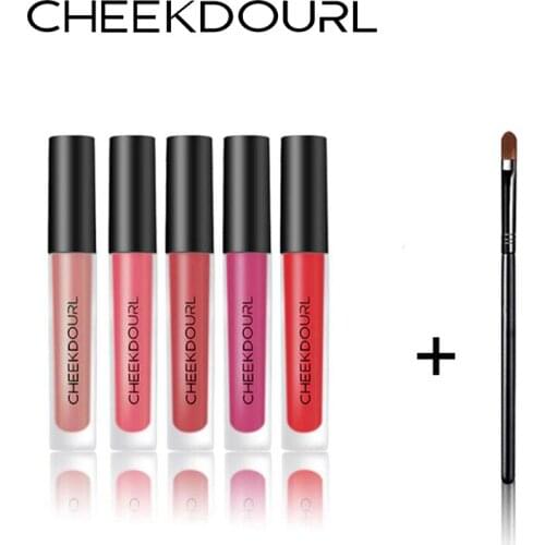 CHEEKDOURL 5 Color Matte Liquid Lip Gloss +Lip Brush Makeup Brush / Make-up Kit