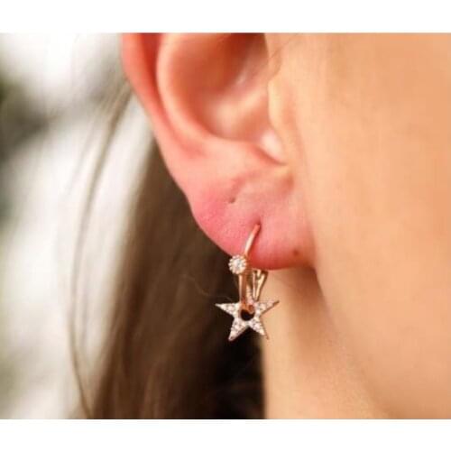 SRO Fashion Star Model Zircon Stone Rose Silver Earrings Modern Design Premium Jewelry For Women Hand Made Comfort Style Wife