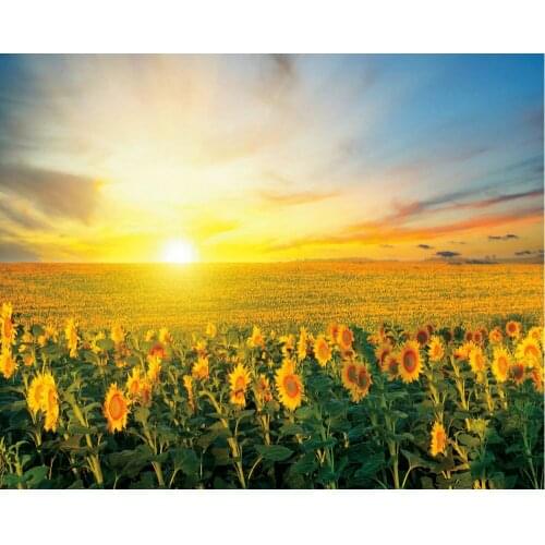 Sunrise Sunflower Blooming Backdrop Baby Shower Party Birthday Room Decor Photo Booth Studio Prop