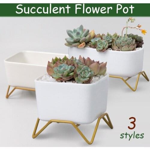 Succulent Plants Flower Pot Garden Yard Home Decorative Container Cactus Planter Flower Balsa Office Desktop Planter Organizer