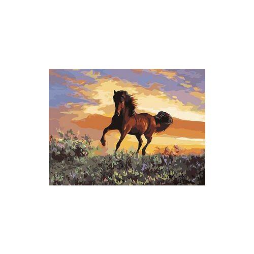 Bold horse animal coloring by numbers art canvas painting wall pictures for living room home decor