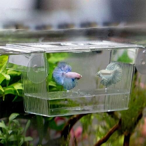 Transparent Acrylic ABS Isolation Fish Breeding Box With Suction Cups Aquarium Tank Clownfish Shrimp Hatchery Mini House