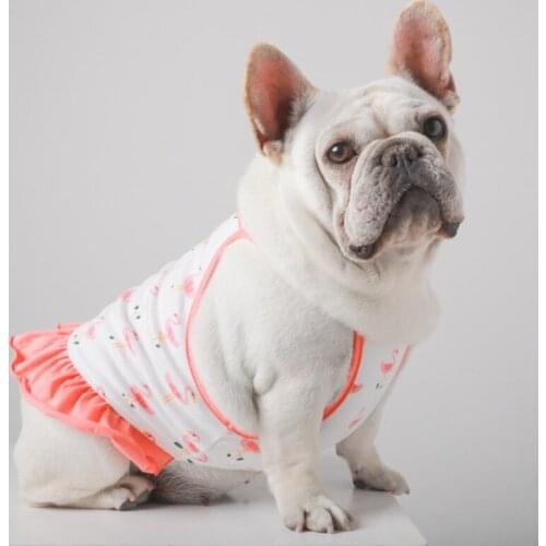 French Bulldog Dress Summer Pet Skirt maltese Poodle Bichon Schnauzer Pug Dog Clothes Frenchies Dog Clothing Skirt Dropshipping