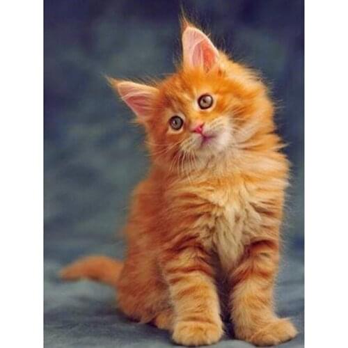 Diamond Painting 5D DIY Animal Painting Cute Kitten King Picture Square/Round Diamond Cross Stitch Embroidery Decoration TX254