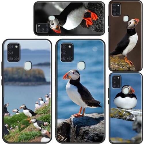 Atlantic Puffin Faroe Islands Cover Case For Samsung A32 A52 A72 A12 A42 A21S A20e A11 A31 A51 A71 A10 A30S A40 A50 A70