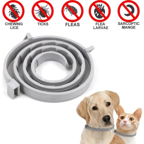 1PC Dog Cat Antiparasitic Collars Retractable 8 Month Anti Flea Ticks Collar Anti-mosquito Prevention Ties Pet Accessories