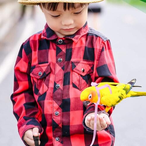 Parrot Adjustable Harness and Leash Set Outdoor Flying Training Rope With Wing for Small Medium Birds Cockatiel Macaw Budgie
