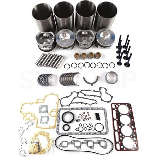 V2203-M-DI V2203-M-DI-E2B Overhaul Rebuild Kit With Valve Full Gaskit Set Piston Liner Ring Bearing For Kubota Engine