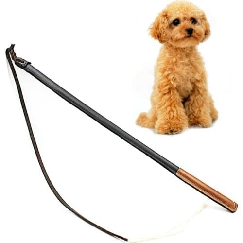 LADOMILOV Leashes For Training