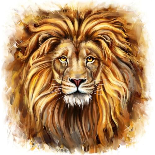 Kexinzu Full 5D DIY Square Round Diamond Painting Animal Lion 3D Embroidery Cross Stitch Rhinestone Mosaic Home Decor K214