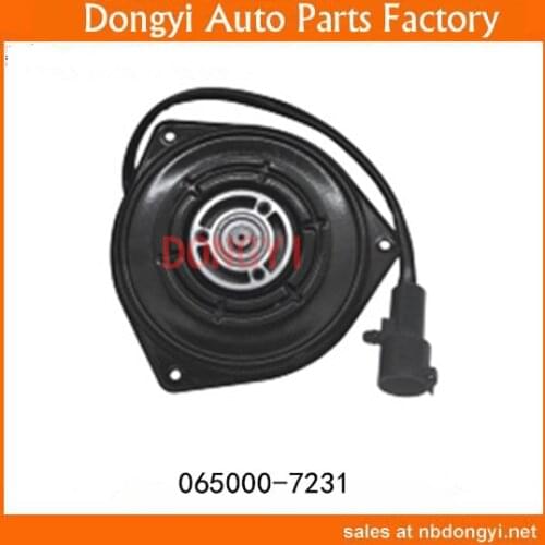 HIGH QUALITY RADIATOR FAN OEM 065000-7231