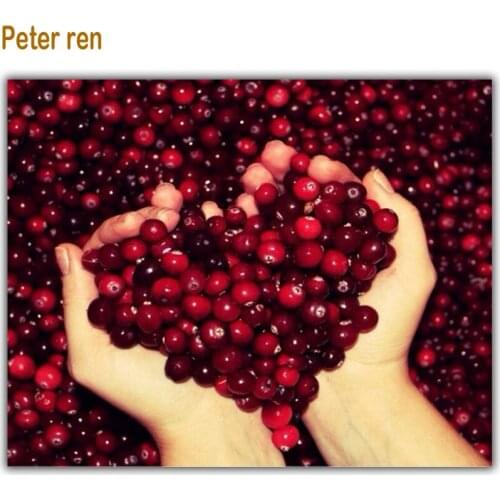 Diy Diamond painting Cross stitch kit Diamond mosaic Full embroidery Love lotus seed 3D square Rhinestone of paintings Red beans