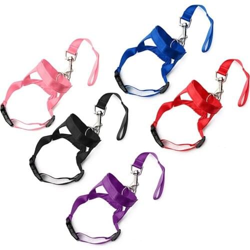Adjustable Harness Gentle Leader Belt For Dog Collar Muzzle Dog Halter Head Collar Training Leash Leader No Pull Bite Straps E