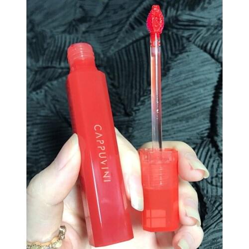 Silky Lipstick Non Stick Long Lasting Waterproof No Fading Moisturizing Lip Glaze SANA889