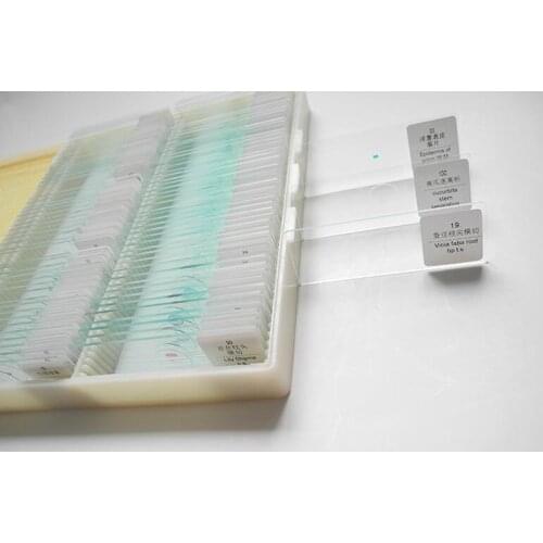 100Pcs animal tissue Microscope Glass Slides Prepared Biological slides Cover Slips in plastic box