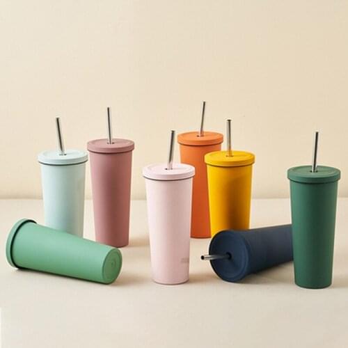 700ml Large-capacity Double-layer Stainless Steel Straw Cup Vacuum Outdoor Thermos Cup Car Water Cup Cute Water Bottle Thermos