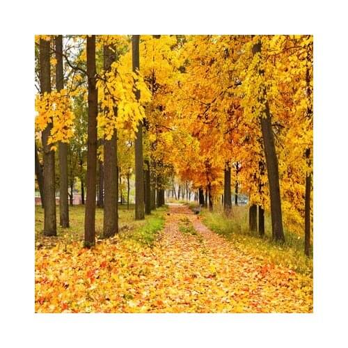 Yellow Fallen Leaves Photography Backdrops Autumn Forest Backgrounds for Photo Studio Portrait Photo Shoot Photophone Photocall