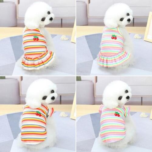 Rainbow Striped Dog Clothes Vest Short Knitted Pet Dress Dog Shirt for Small Dogs Chihuahua Poodle Cherry Summer Cat Costumes