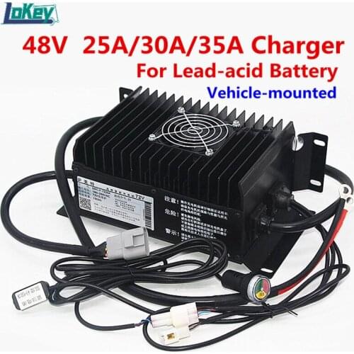 48V 25A 30A 35A Vehicle Seal Waterproof Charger For Lead Acid Battery Dry Water Battery 150Ah to 230Ah For Electric Car Forklift