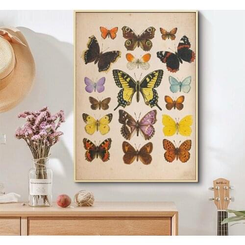 Insect Antique Illustration Canvas Painting Butterflies Vintage Posters Prints Wall Art Pictures for Home Decoration Room Decor
