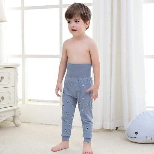 2021 Baby Boys Pants Kids Harem Pants Autumn Thick Animal Dinosaur Cotton Car Pants Children Trousers For Girls Long Pants Home