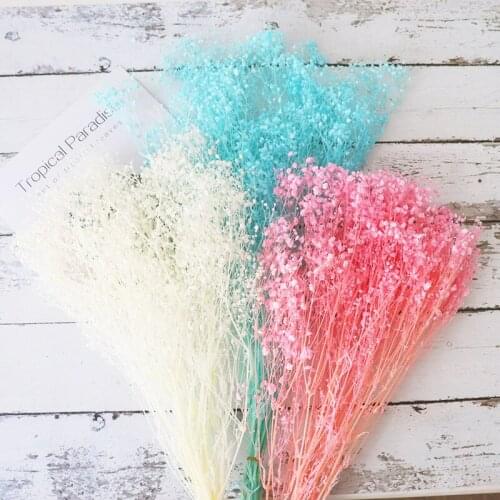 Home Decoration Natural Preserved Fresh Flowers Dried Gypsophila Babys Breath Grass Flores Preservadas Gift Wedding Party Decor