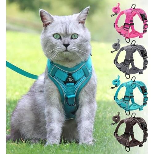 Breathable Dog Cat Mesh Harness With Leash Reflective Pet Puppy Vest Harness Lead Adjustable For Small Medium Dogs Chihuahua Pug
