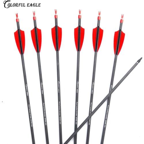 Outdoors Spine300 400 Pure Carbon Arrow 28/30/31-Inch Shaft with Replaceable Arrow head for Recuve/Compound Bow Hunting
