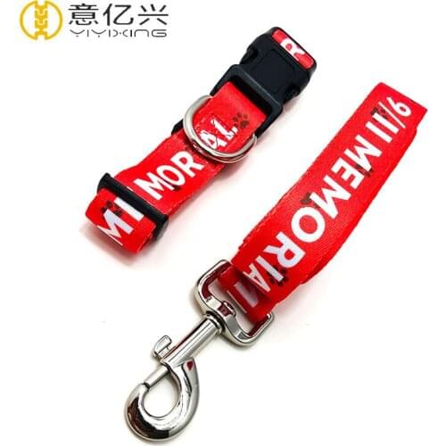 Dog Pet Gold Buckle Velvet Collar Supplies