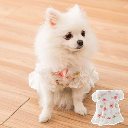 Cute Dress for Wedding Party Lace Sweet Dog Clothes for Small Dogs Girl Princess Cat Dress Summer Puppy Clothes for Yorkie Teddy